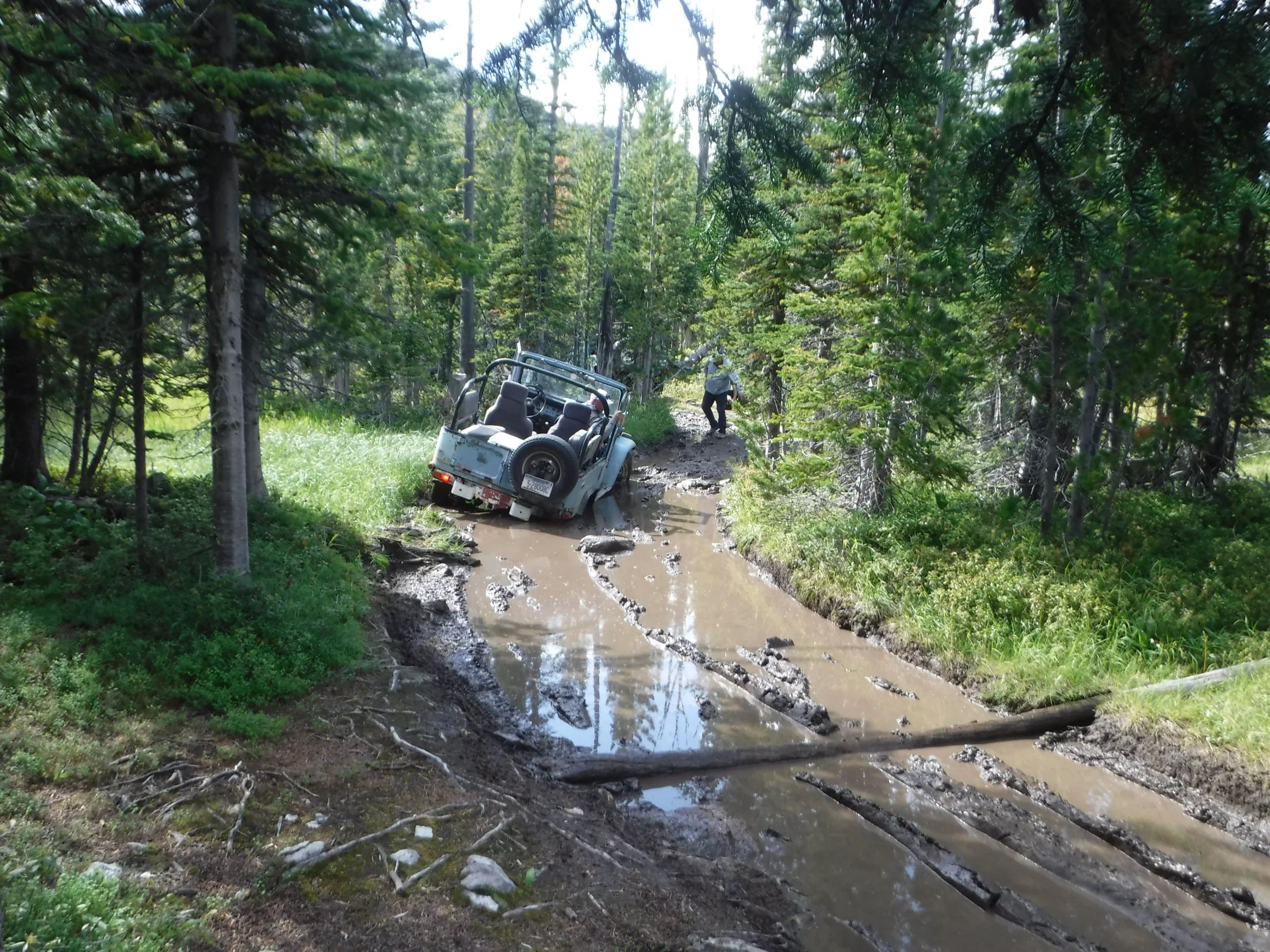DSCF6503.webp