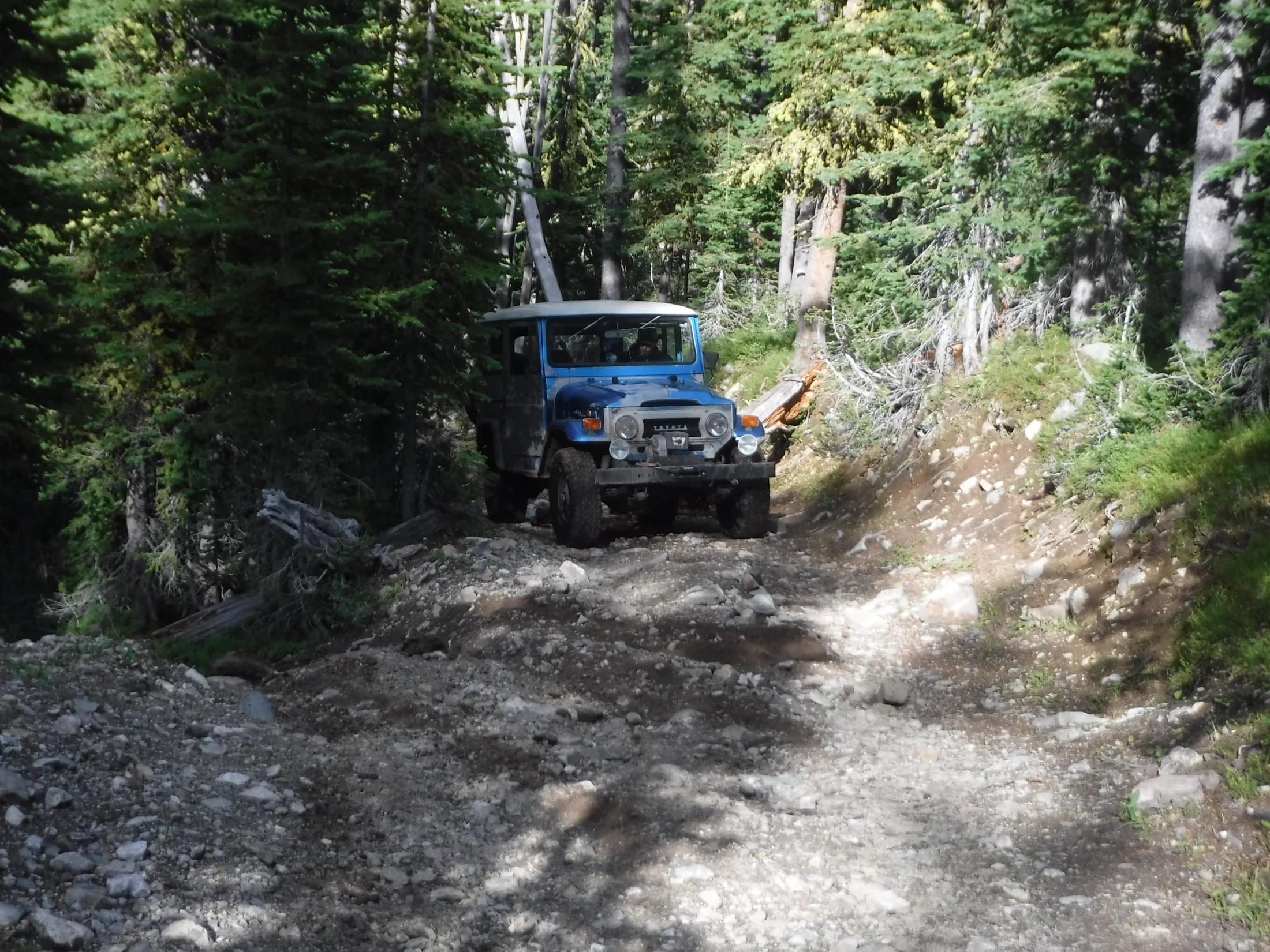 DSCF6510.webp