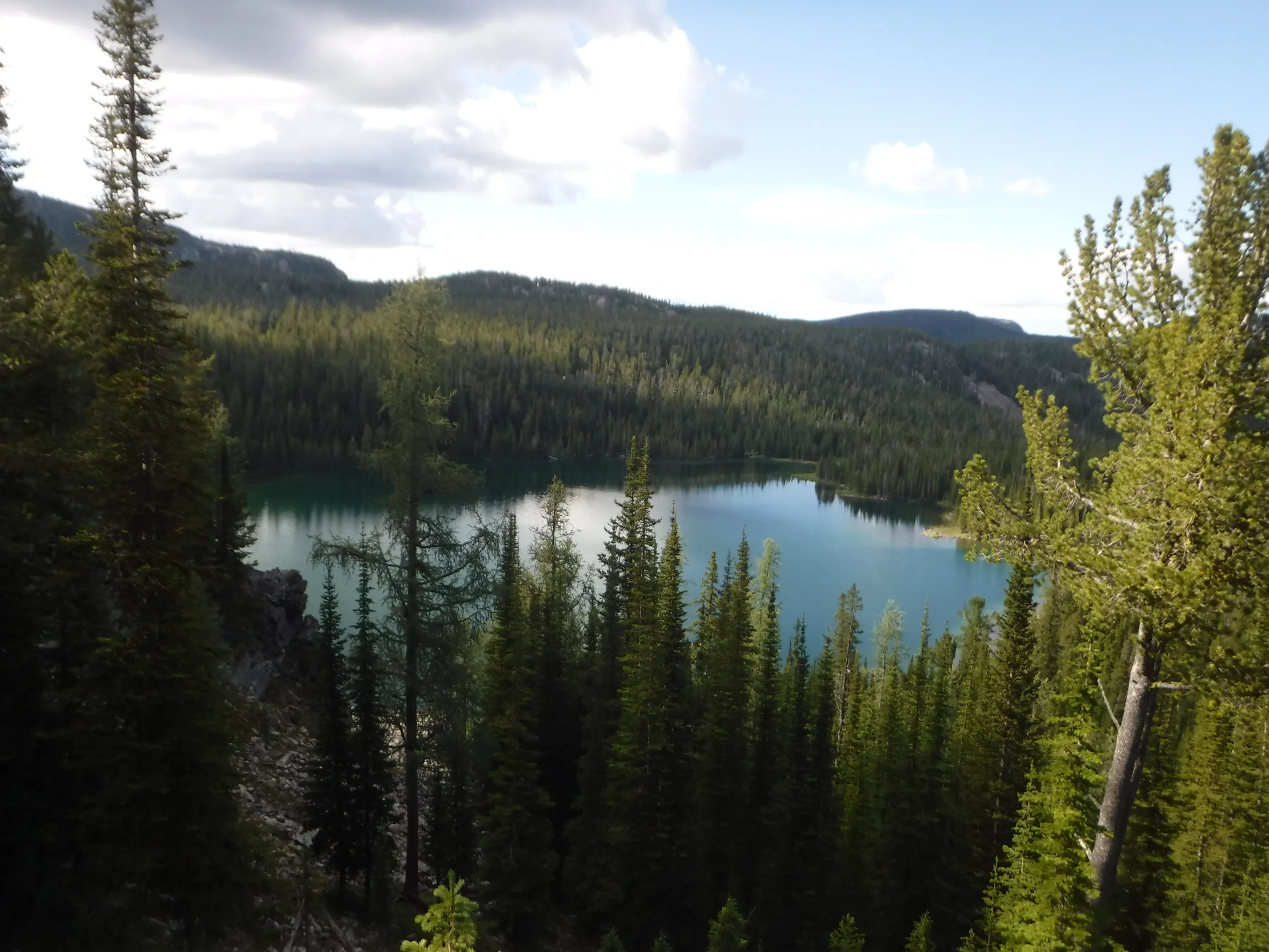 DSCF6512.webp