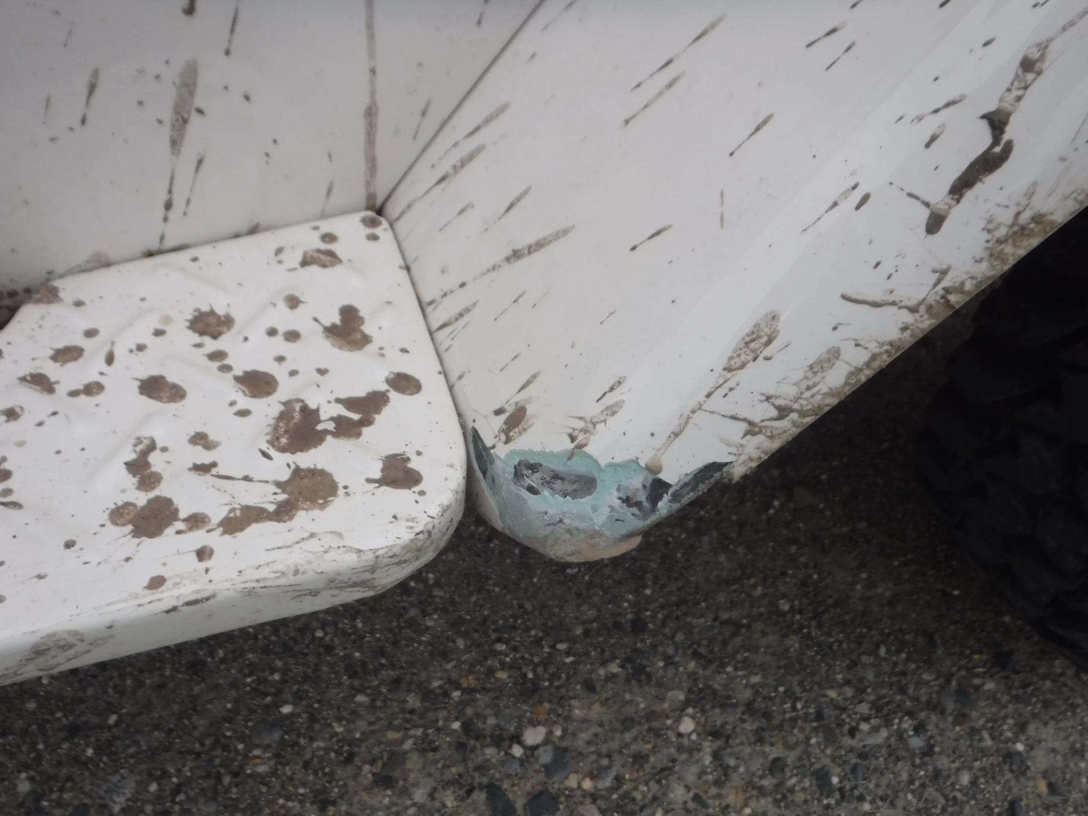 DSCF6519.webp