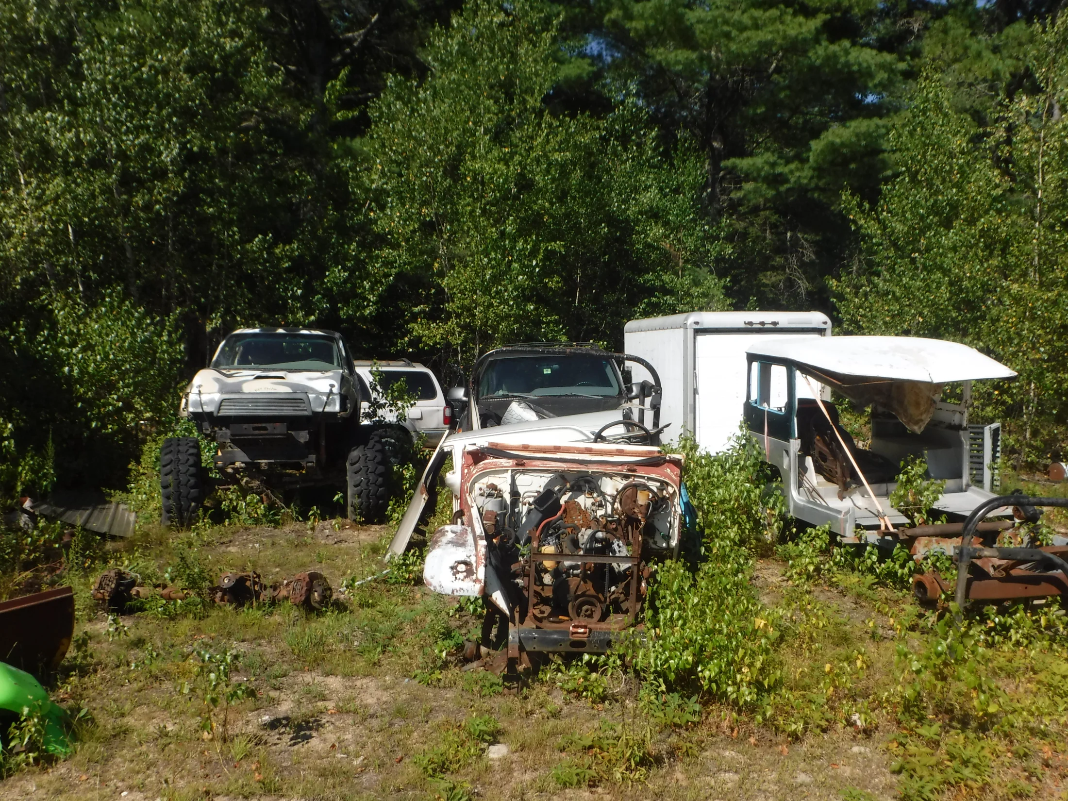 DSCF6528.webp