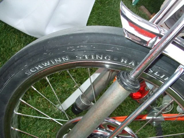 DSCF6589.webp