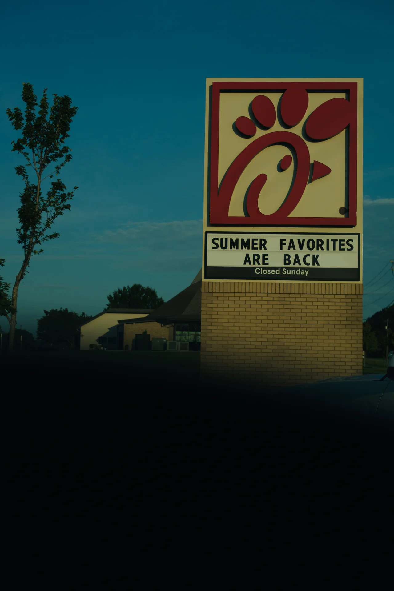DSCF6687.webp
