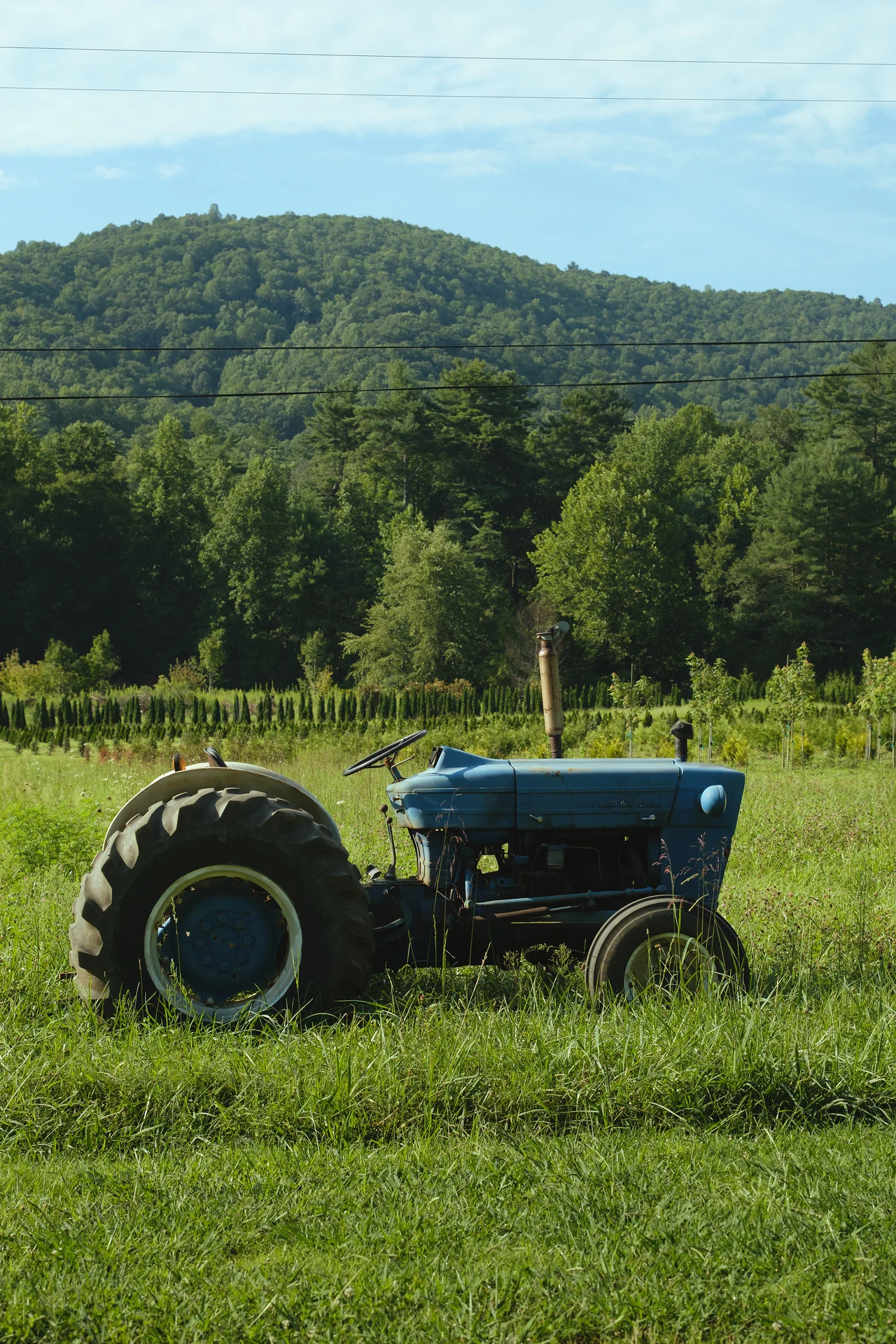 DSCF6689.webp