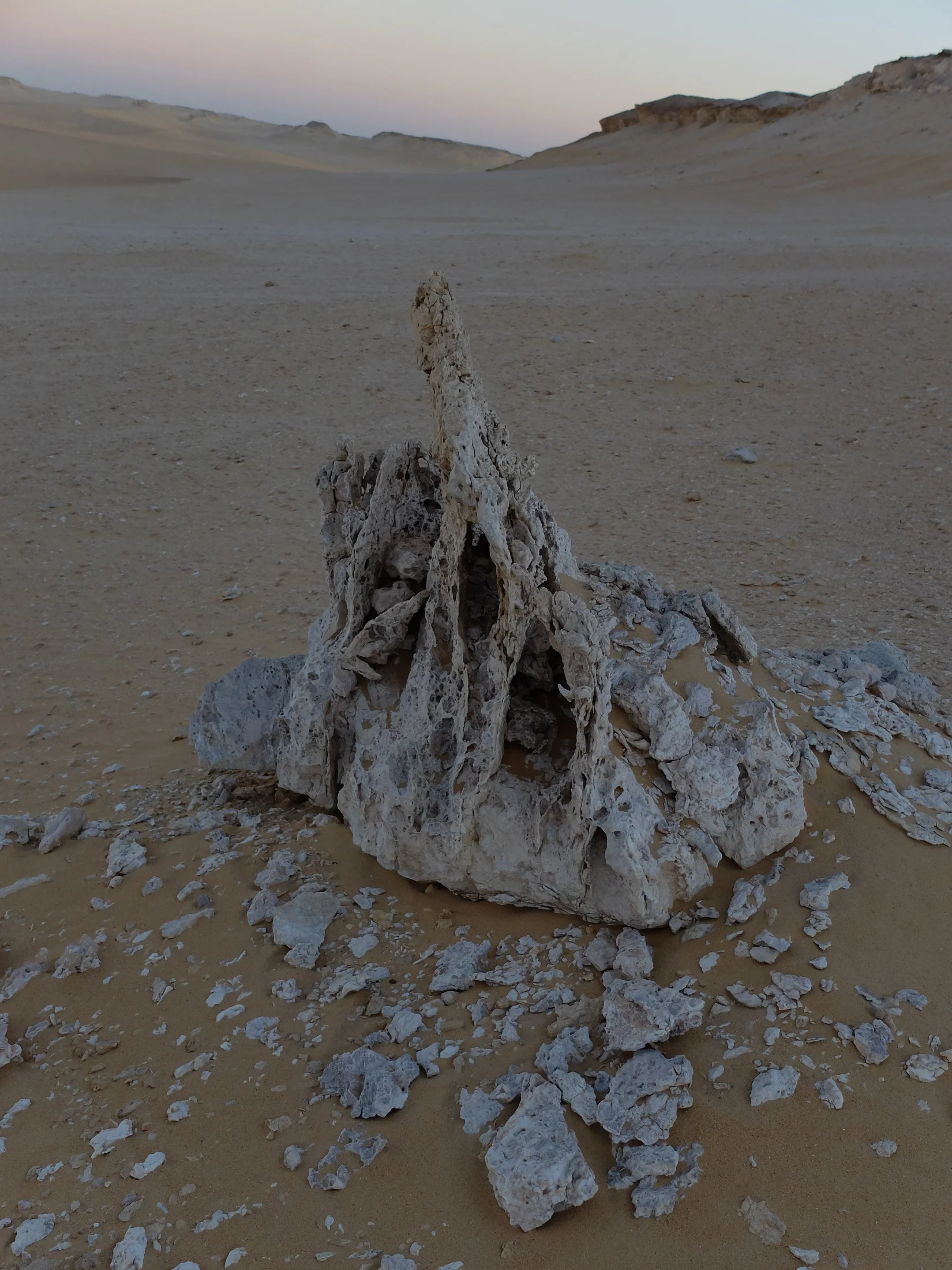 DSCF7103.webp