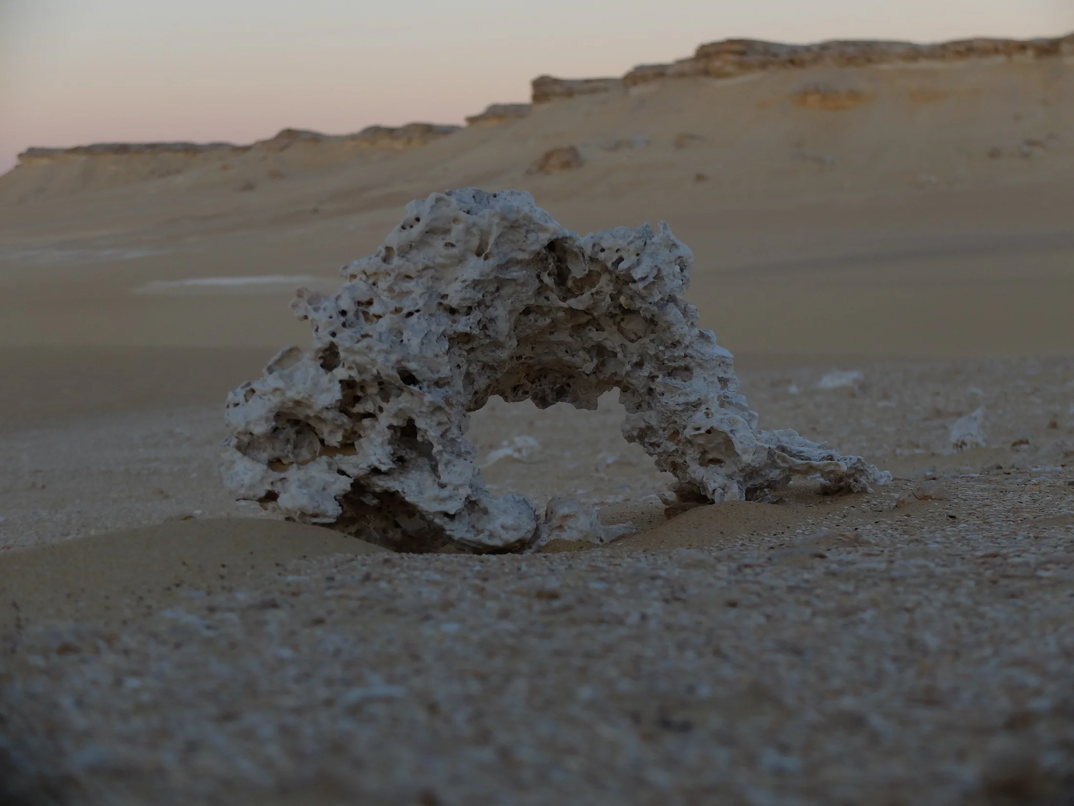 DSCF7104.webp