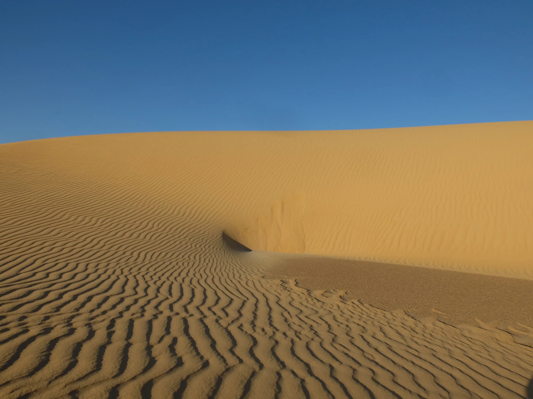 DSCF7130.webp