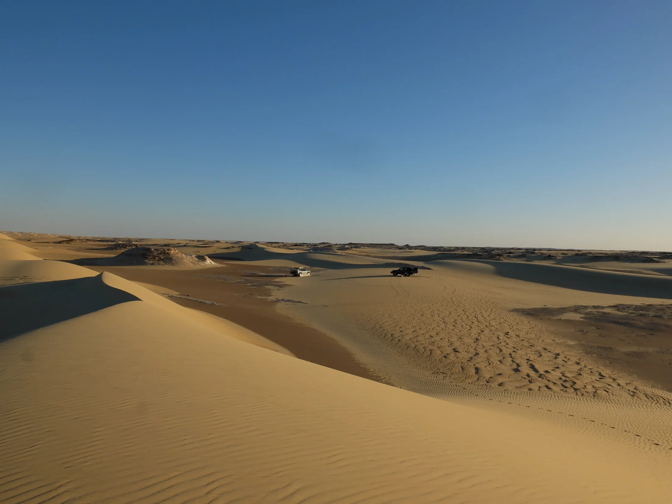 DSCF7133.webp
