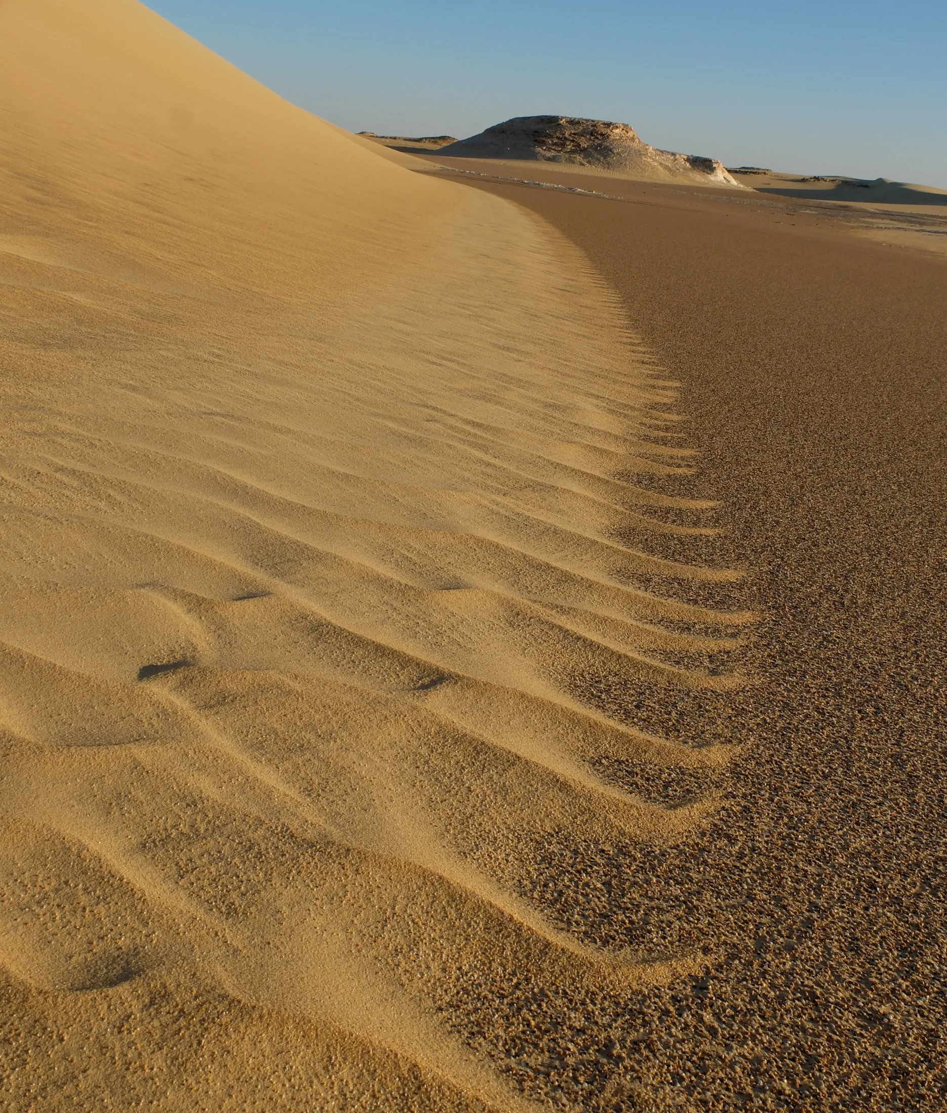 DSCF7134.webp
