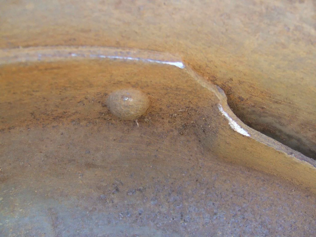 DSCF7344.webp