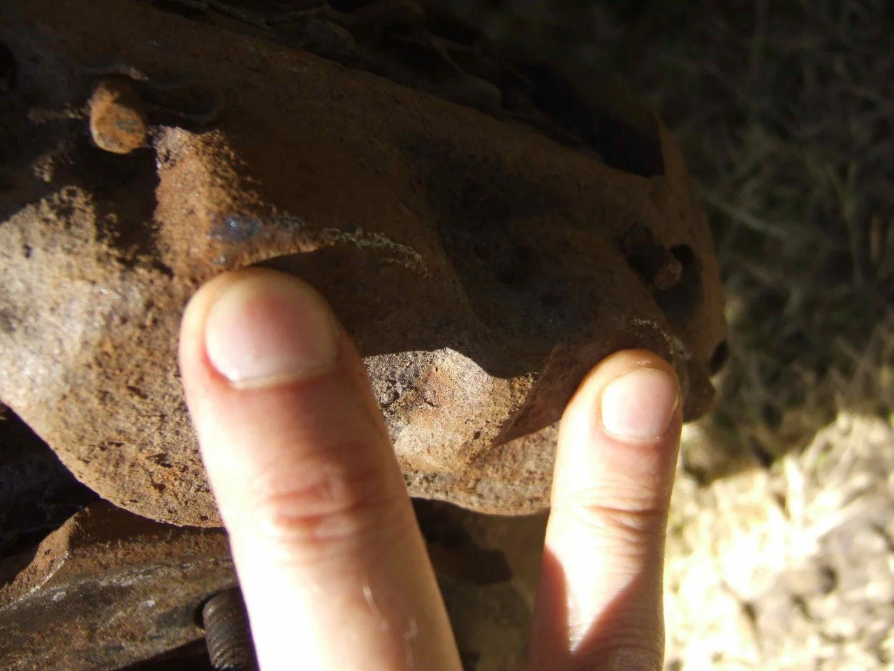 DSCF7345.webp