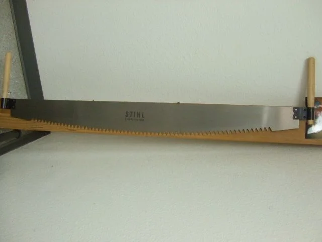 DSCF7679.webp
