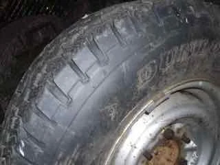 DSCF8258.webp