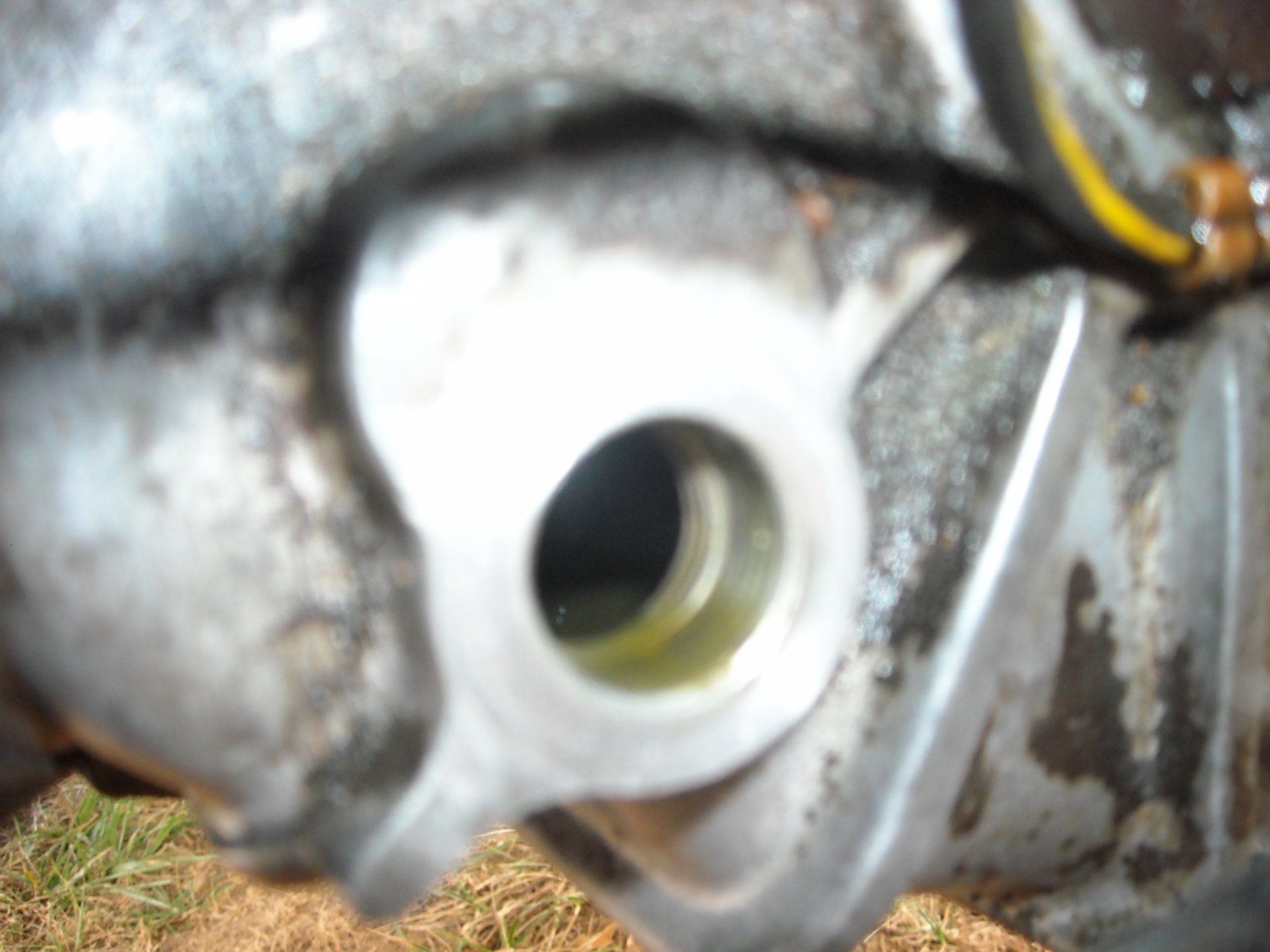 DSCN0015.JPG