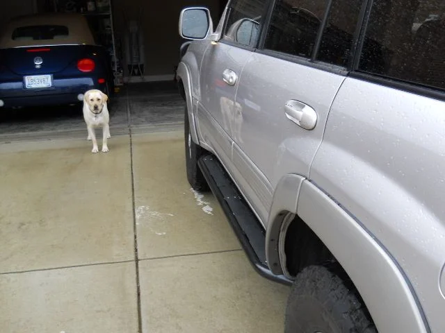 DSCN0019.webp