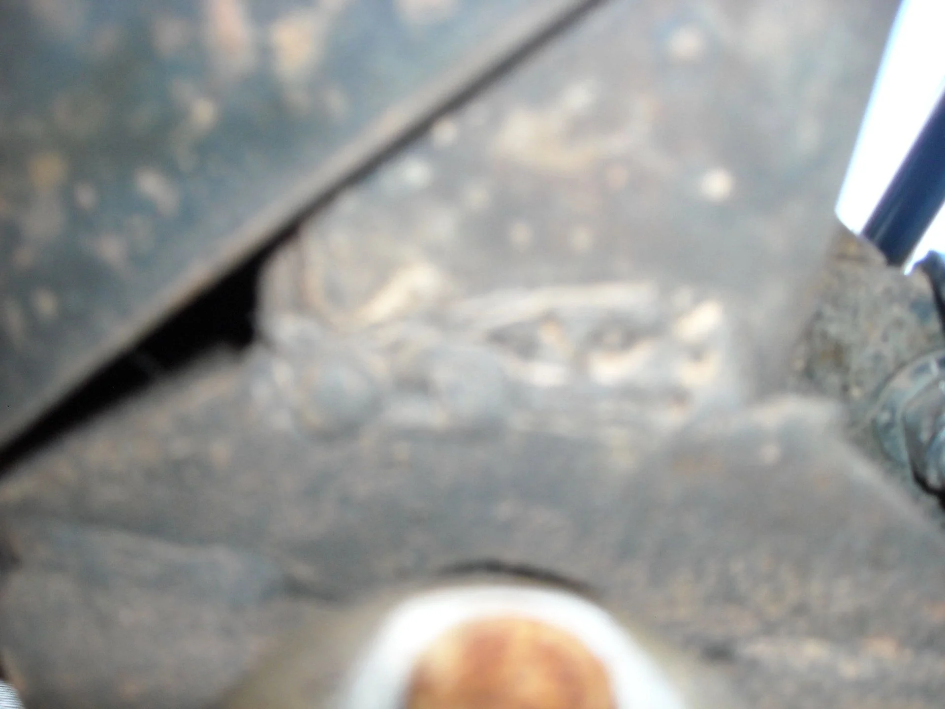 DSCN0046.webp
