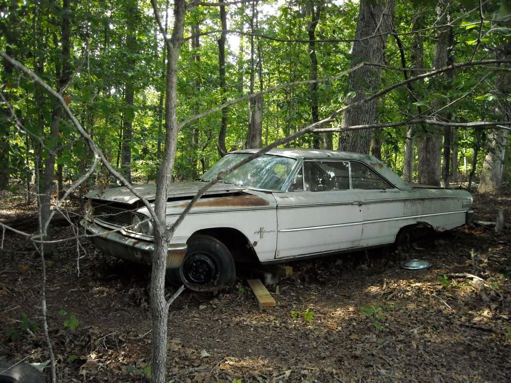 DSCN0093.webp