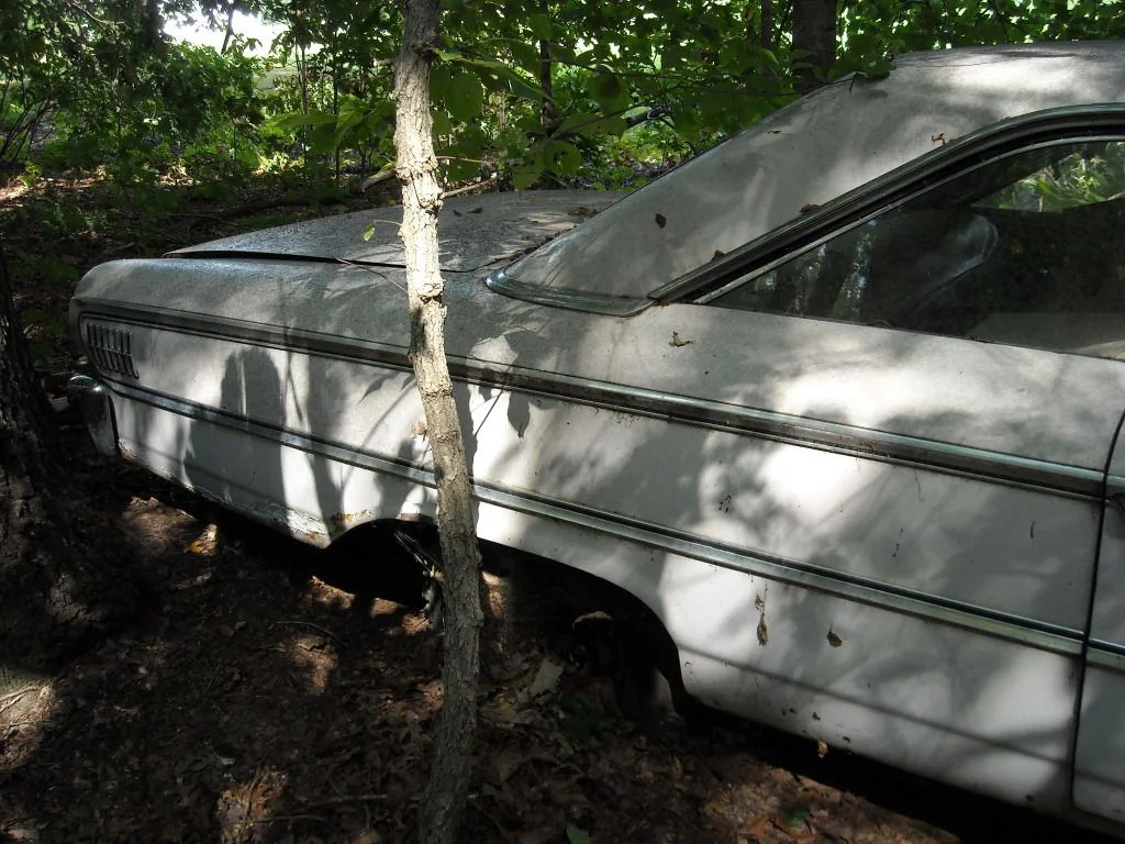 DSCN0095.webp