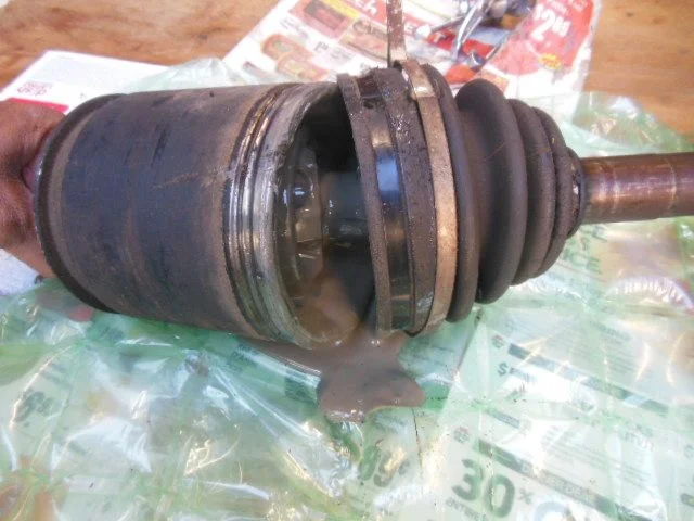 DSCN0130.JPG