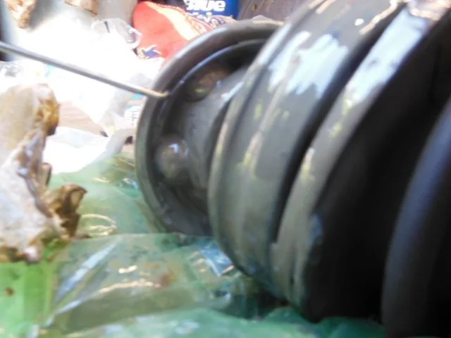 DSCN0136.webp