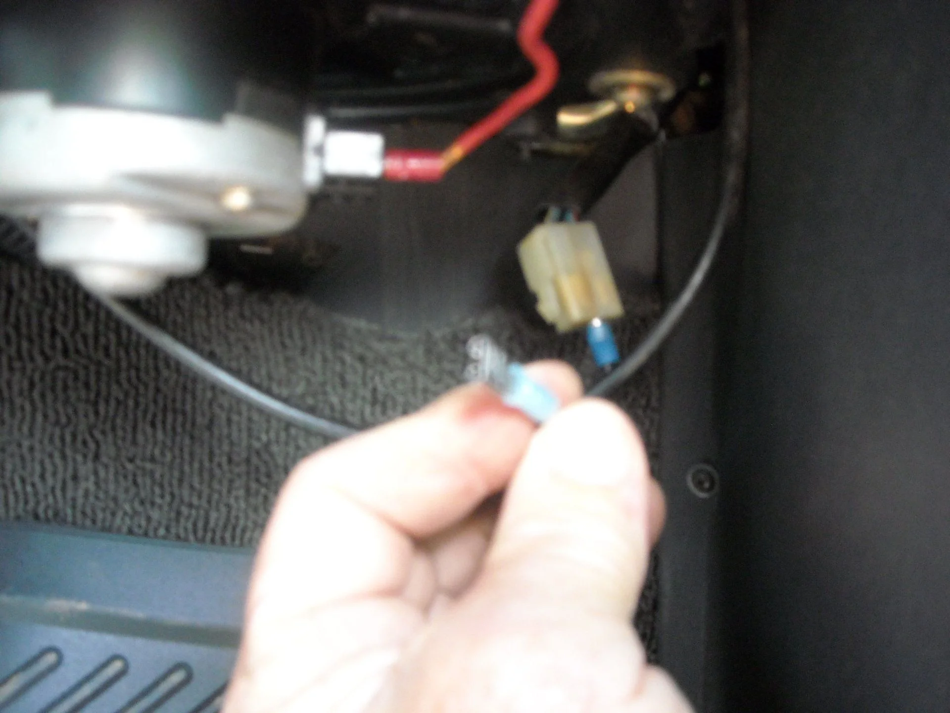 DSCN0157.webp