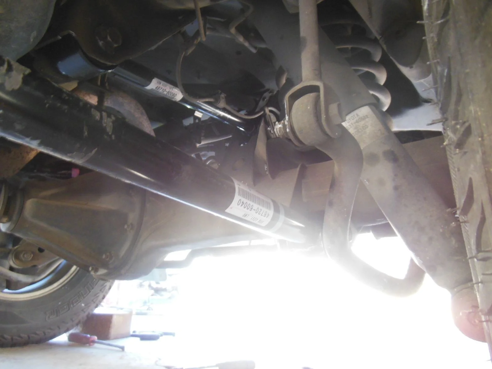 DSCN0161.webp