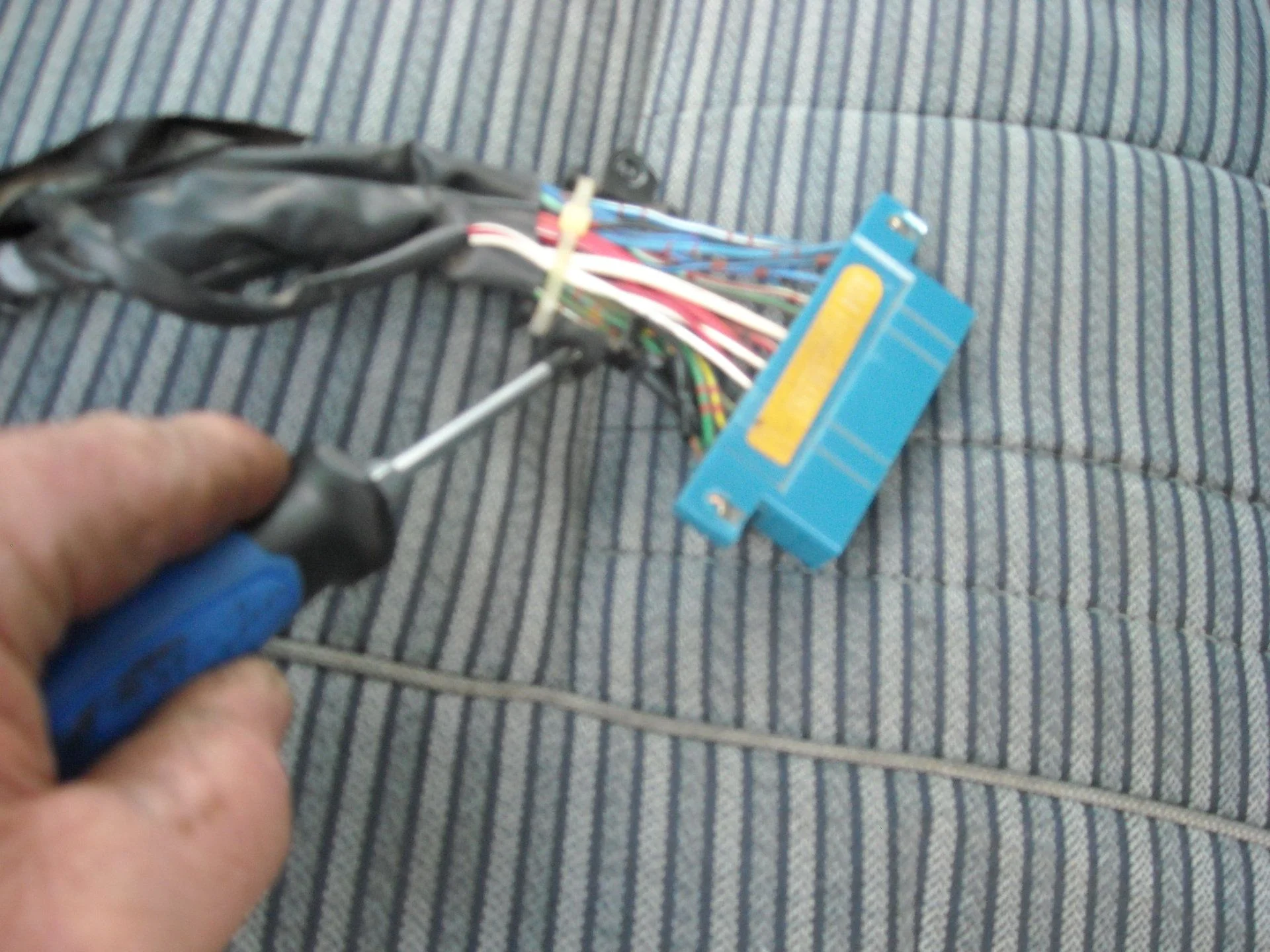 DSCN0191.webp