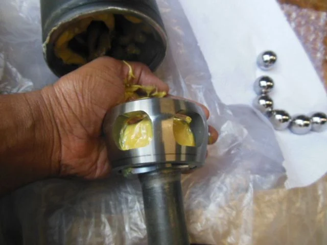 DSCN0192.webp