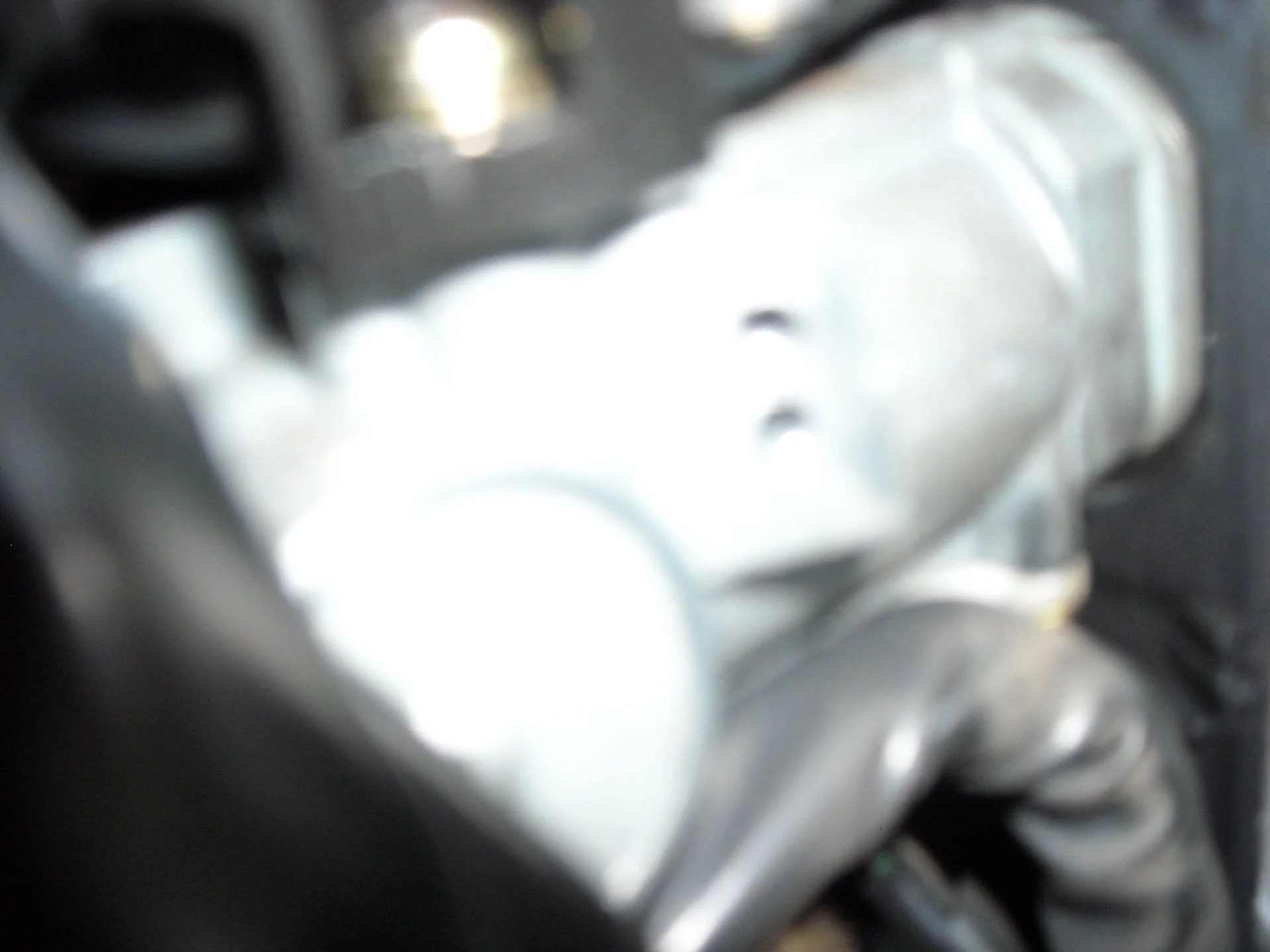 DSCN0195.webp