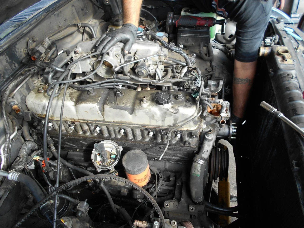 DSCN0213.webp