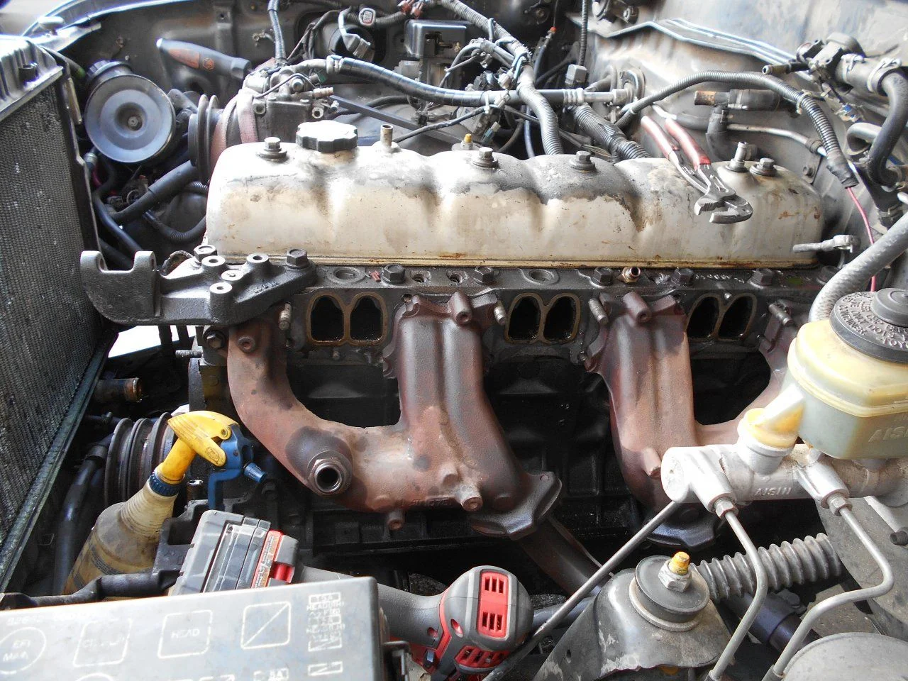 DSCN0220.webp