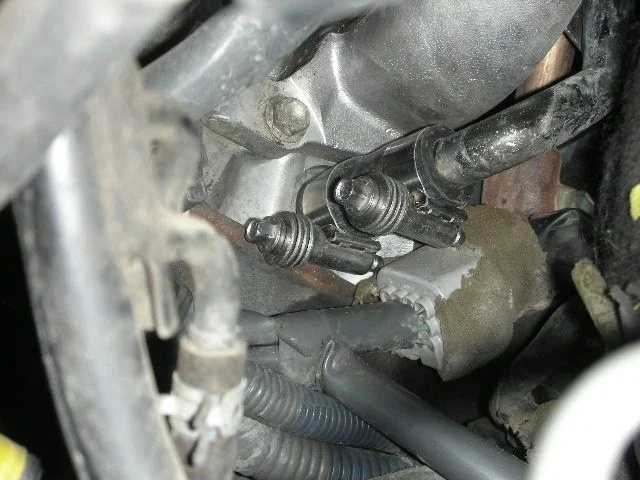 DSCN0291.webp