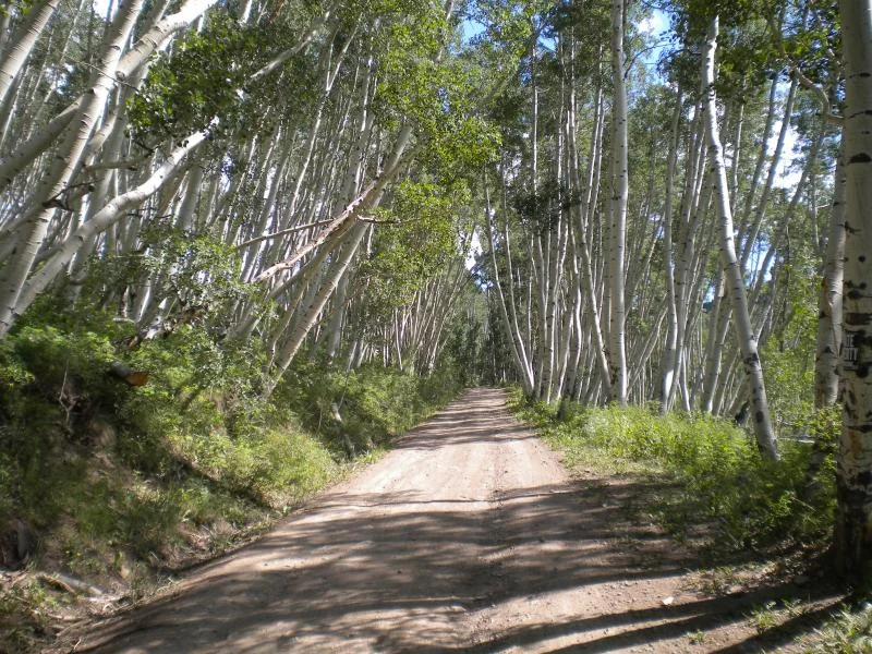DSCN0305.webp