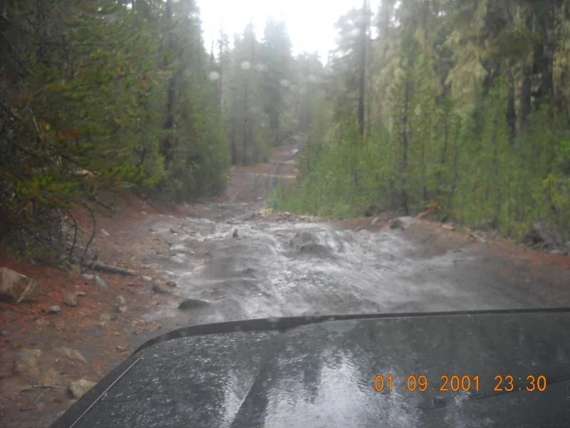 DSCN0335.webp