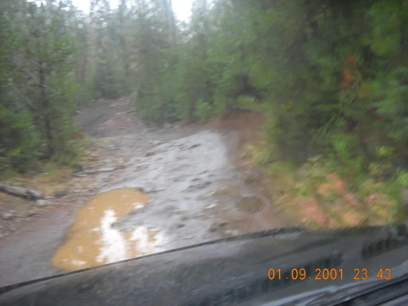 DSCN0338.webp