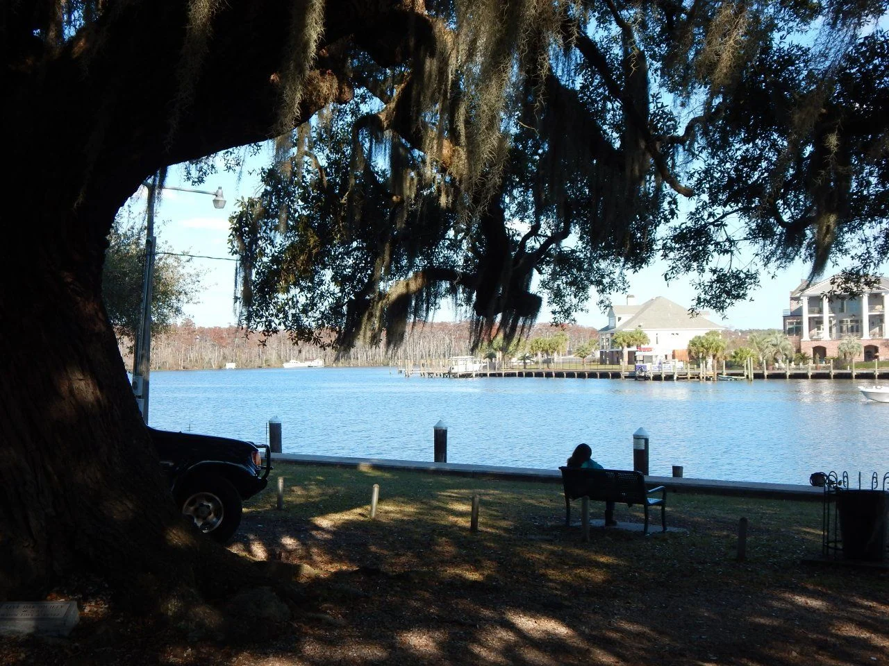 DSCN0347.webp