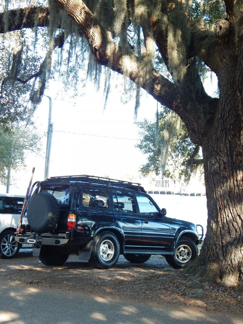DSCN0348.webp