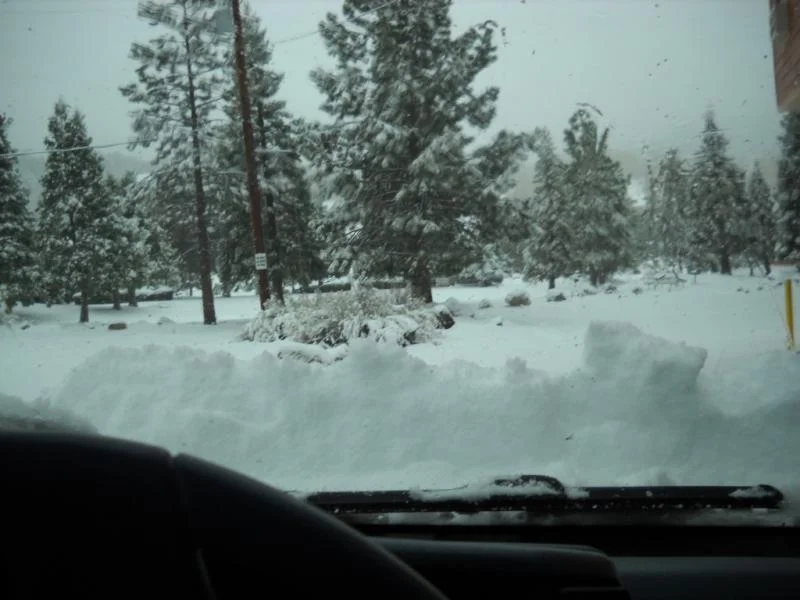 DSCN0348.webp