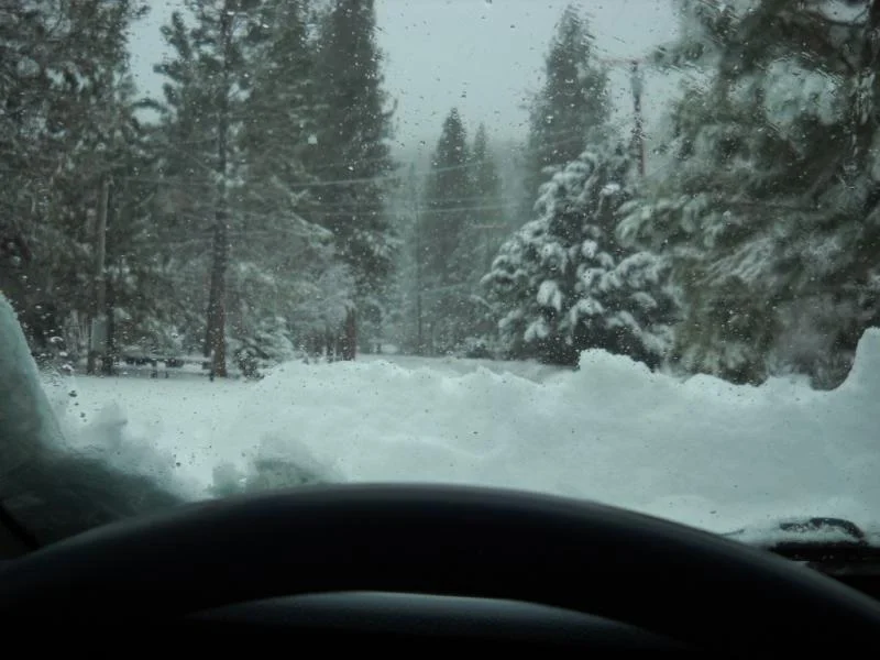 DSCN0349.webp