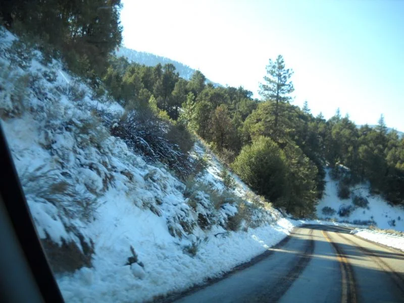 DSCN0355.webp