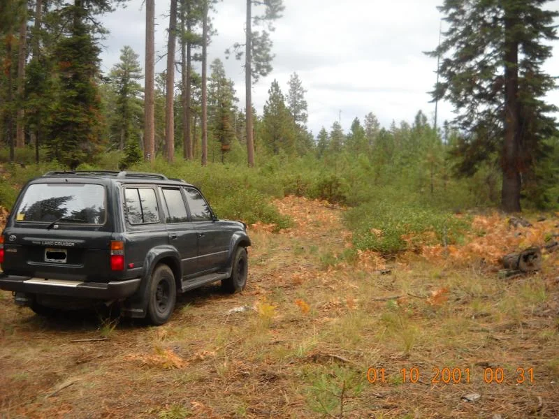 DSCN0368.webp