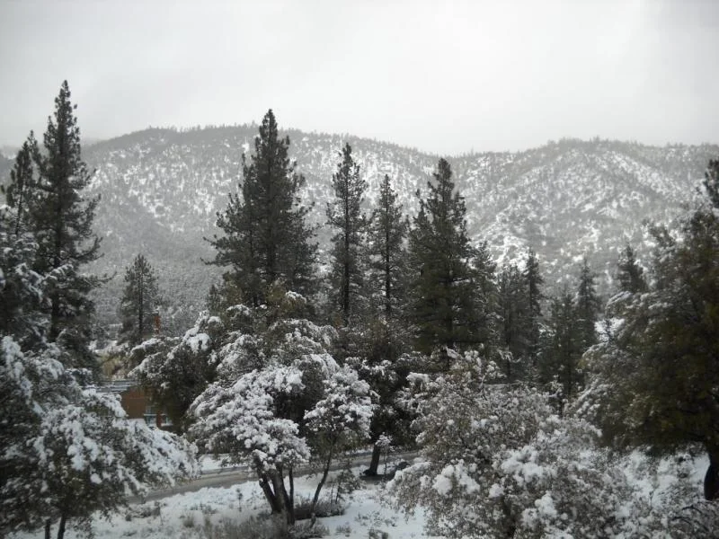 DSCN0433.webp