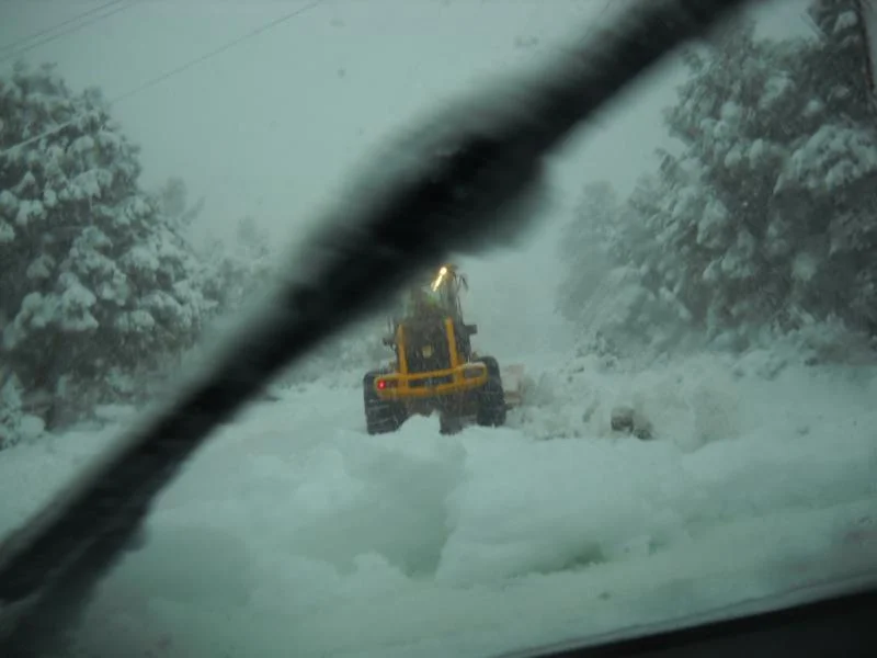 DSCN0443.webp