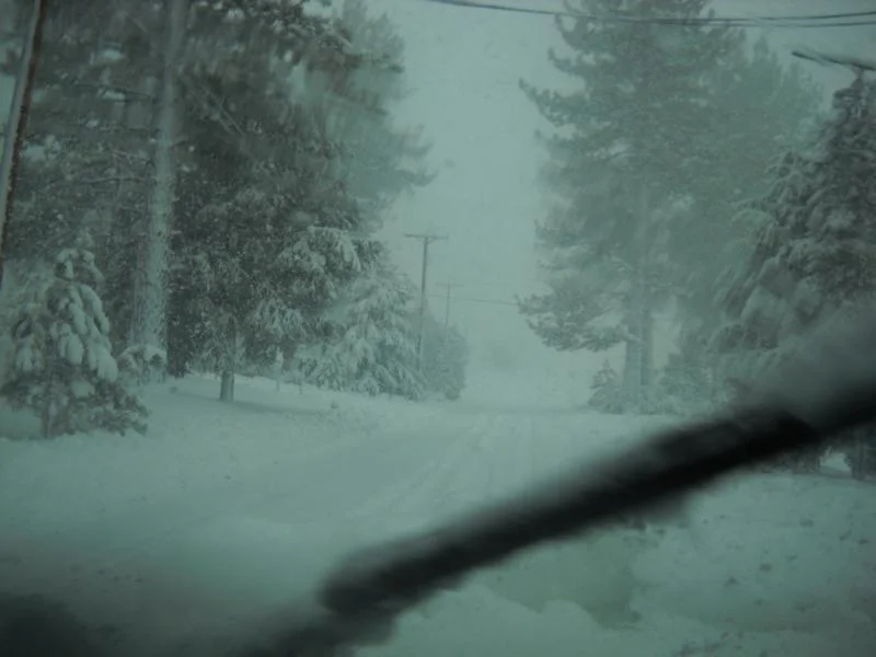 DSCN0446.webp