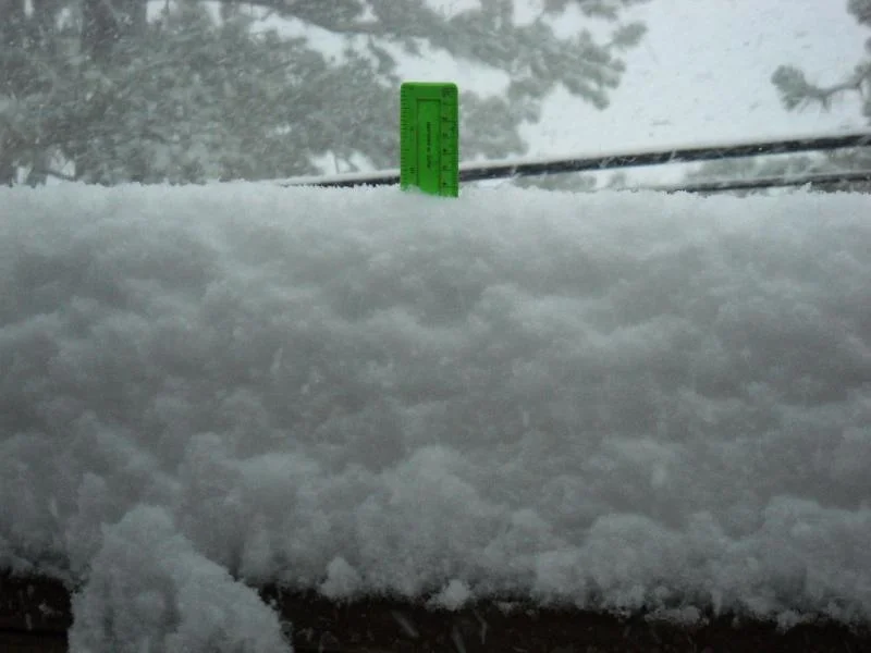 DSCN0454.webp