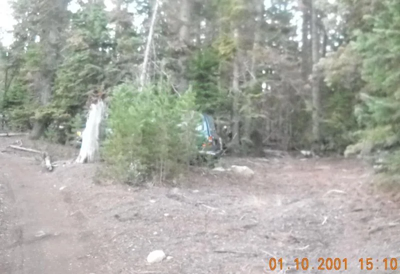 DSCN0456.webp
