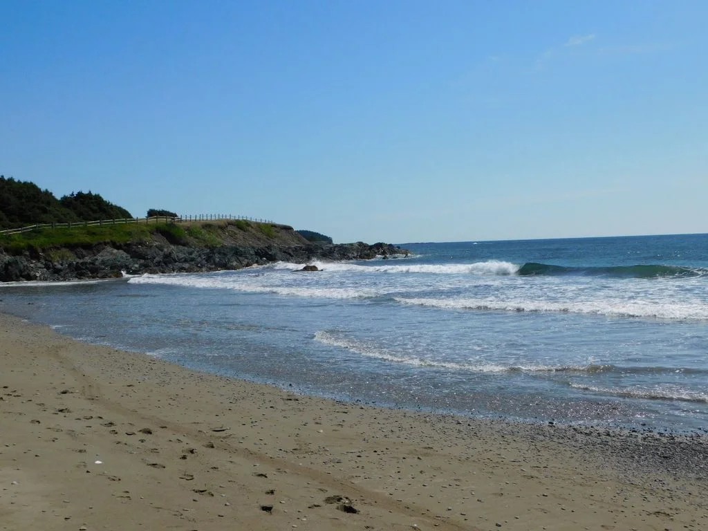 DSCN0484-001.webp