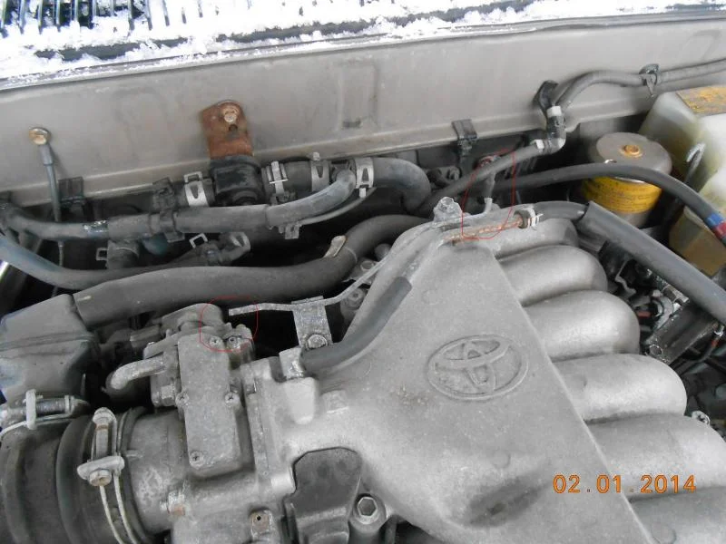 DSCN0528.webp