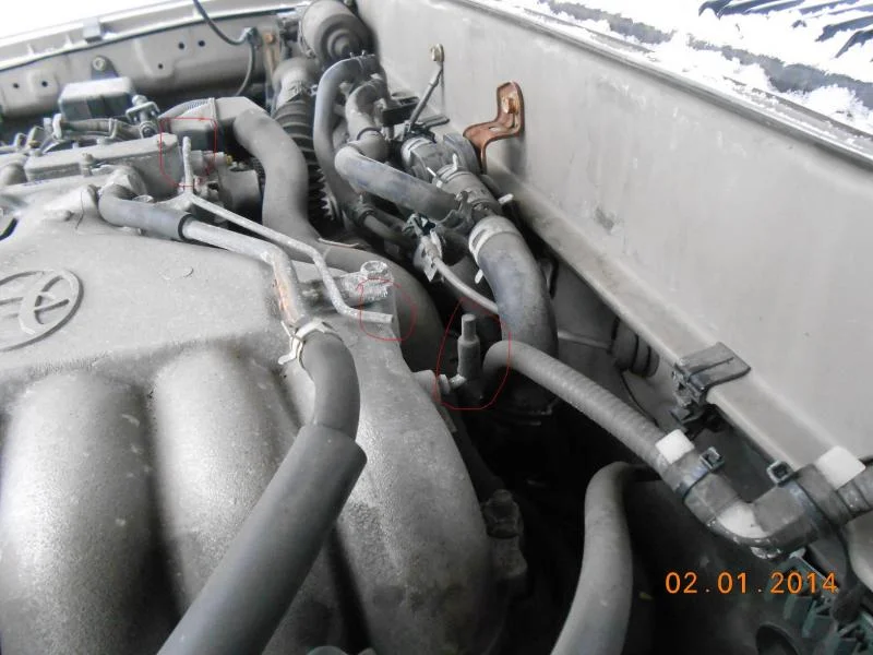 DSCN0529.webp