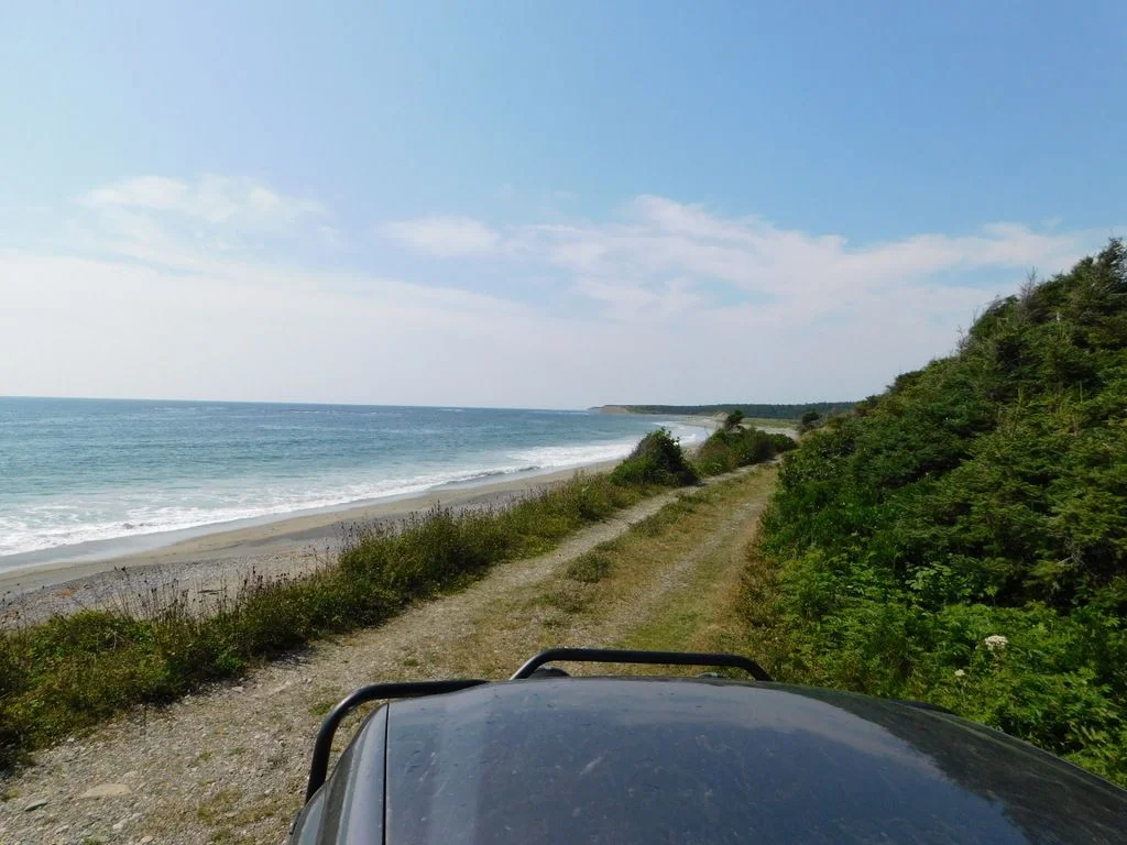 DSCN0535-001.webp